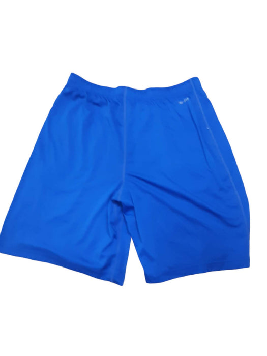 Nike Dri-Fit Royal Blue Men's Shorts (Size: L)