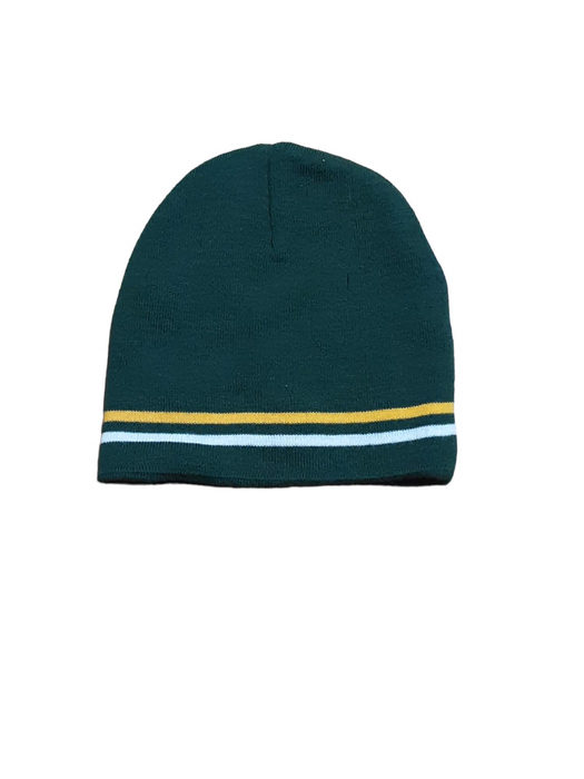 Green Bay Packers NFL Team Apparel Beanie Green (Size: One Size Fit Most)