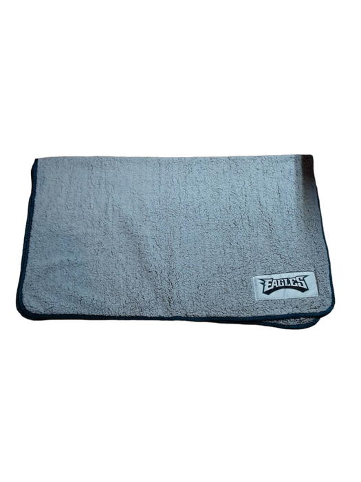 Philadelphia Eagles NFL Fleece Soft Feel Throw Blanket Gray (Size: 50 X 60)