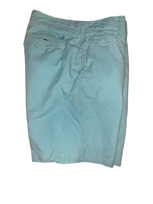 American Eagle Classic Cotton Flat Front Shorts Mint Green (Size: 32 X 10)